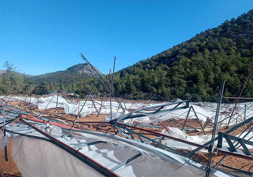 FIRTINA, EN ÇOK SERALARA ZARAR VERDİ