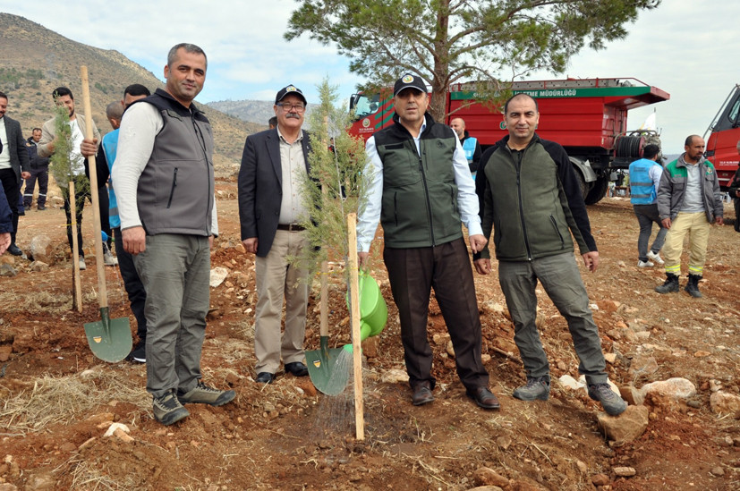 YANAN ALANLAR FİDANLARLA BULUŞTU